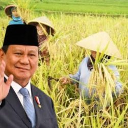 Heboh! Petani Nganjuk Surati Prabowo Tolak Gerai Koperasi: 'Jangan Bangun di Sawah Kami!